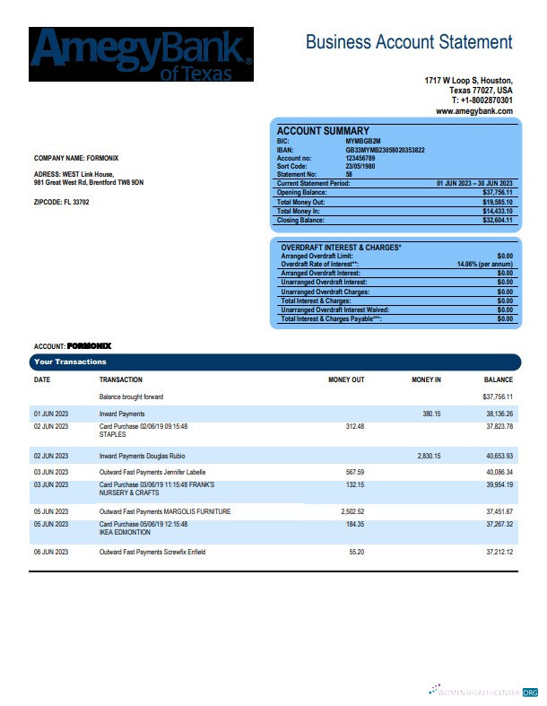 Download Amegy Corporation Bank organization account statement Word and PDF template Photoshop template